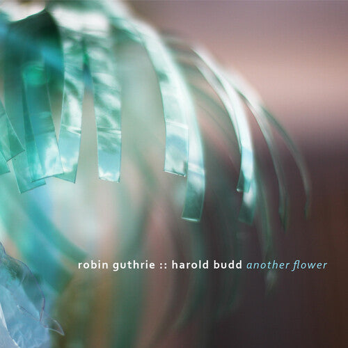 Guthrie, Robin / Budd, Harold: Another Flower - CD