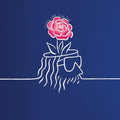 Sebastien Tellier: Simple Mind - (VINYL LP)