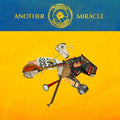 Steve N Seagulls: Another Miracle - (VINYL LP)