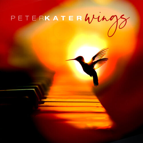Peter Kater: Wings - CD