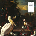 William Doyle: Great Spans Of Muddy Time - (VINYL LP)
