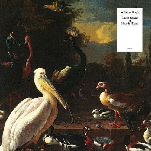 William Doyle: Great Spans Of Muddy Time - (VINYL LP)