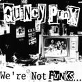 Quincy Punx: We're Not Punks...but We Play Them On Tv - (VINYL LP)