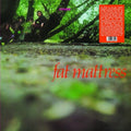 Fat Mattress: Fat Mattress - (VINYL LP)