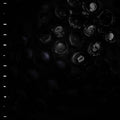 Crumb: Ice Melt - (VINYL LP)