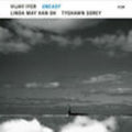 Vijay Iyer: UnEasy - (VINYL LP)