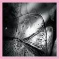 Loscil: Clara - (VINYL LP)