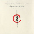 Andreas Vollenweider: Dancing With The Lion - CD