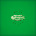 Spiritualized: Pure Phase - (VINYL LP)