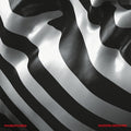 Phobophobes: Modern Medicine - (VINYL LP)