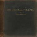 Joshua Radin: The Ghost And The Wall - (VINYL LP)
