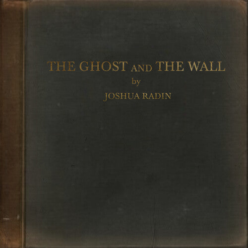 Joshua Radin: The Ghost And The Wall - (VINYL LP)
