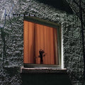 Wyldest: Monthly Friend - (VINYL LP)