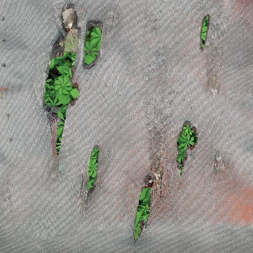 Koreless: Agor - (VINYL LP)