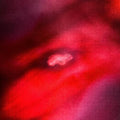 Saffronkeira: The Faded Orbit - CD