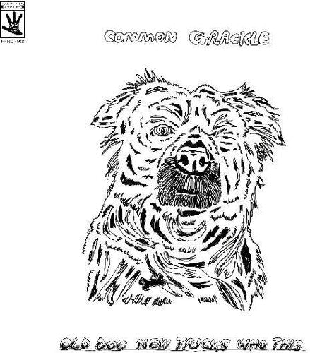 Common Grackle: Old Dog New Tricks Who This - (VINYL LP)
