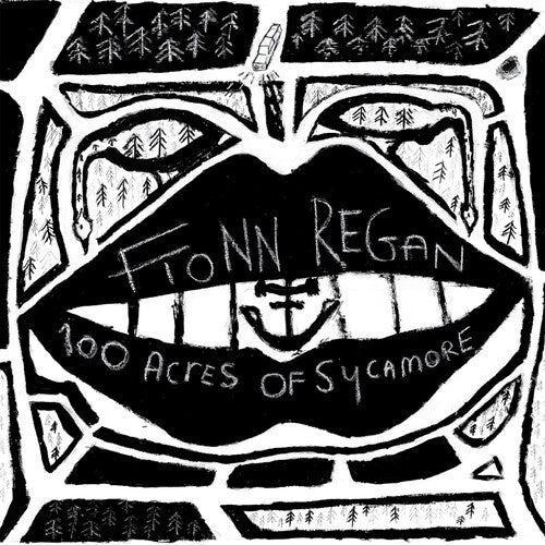 Fionn Regan: 100 Acres Of Sycamore - (VINYL LP)