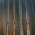 Skepticism: Companion - (VINYL LP)