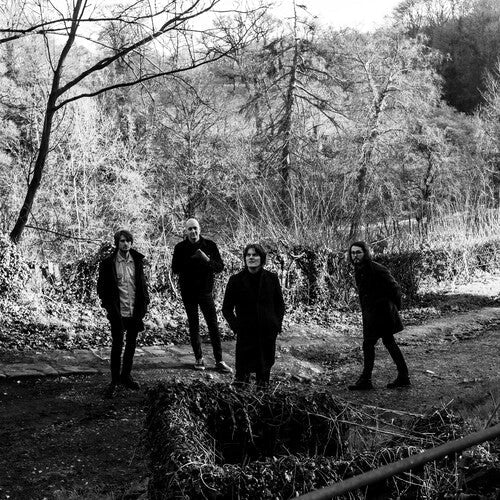 The Be Positives: Everything About - CD