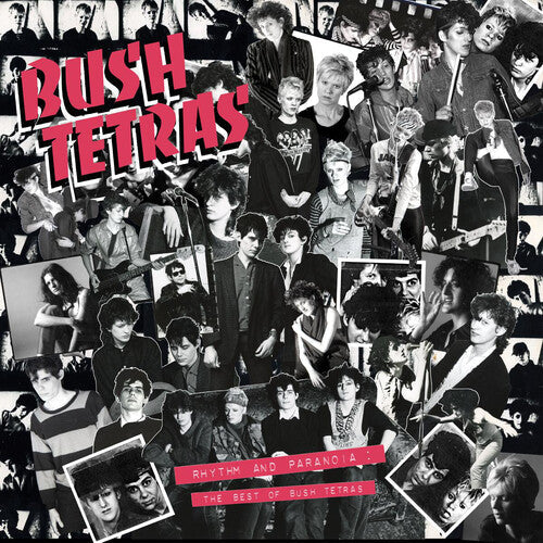 Bush Tetras: Rhythm & Paranoia: The Best of Bush Tetras - (VINYL LP)