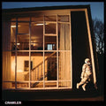 Idles: Crawler - (VINYL LP)