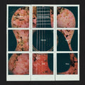 Dashboard Confessional: All The Truth That I Can Tell - CASSETTES