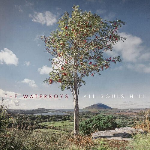The Waterboys: All Souls Hill - COMPACT DISCS