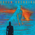 Dream Unending: Tide Turns Eternal - (VINYL LP)