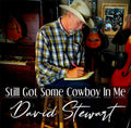David Stewart: Still Got Some Cowboy In Me - CD