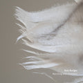 Rob Burger: Marching With Feathers - (VINYL LP)