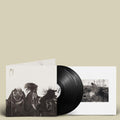 Messa: Close - (VINYL LP)