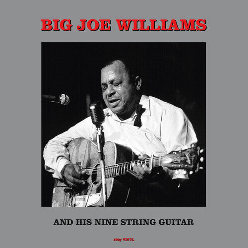Big Joe Williams: And His Nine String Guitar (180gm Vinyl) - (VINYL LP)