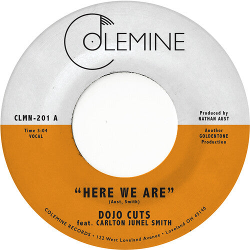 Dojo Cuts: Here We Are (Coke Bottle Clear) -LP
