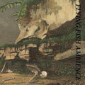 Rainforest Spiritual Enslavement: Flying Fish Ambience - COMPACT DISCS