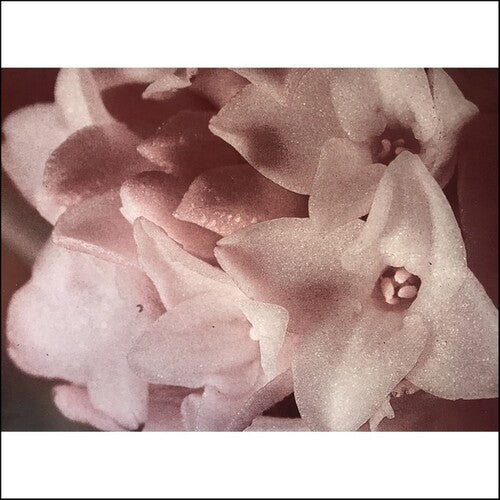 Masonna: Masonna Vs Banamara - (VINYL LP)