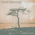 Venus Principle: Stand In Your Light - CD