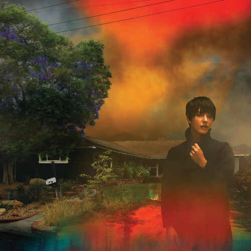 Sharon Van Etten: We've Been Going About This All Wrong -LP