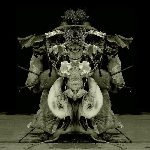 Gurun Gurun: Uzu Oto -LP