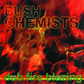 The Bush Chemists: Dub Fire Blazing -LP