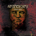 12 Stones: Picture Perfect -LP