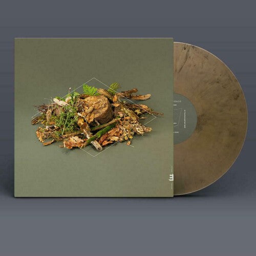 Fergus McCreadie: Forest Floor -LP