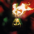 Arthur Brown: Long Long Road - COMPACT DISCS