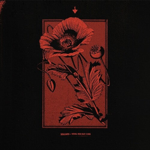 Kollaps: Until The Day I Die - (VINYL LP)