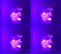 Abbie Barrett: I Will Let You Know - COMPACT DISCS