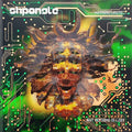 Shpongle: Nothing Lasts... But Nothing Is Lost -LP