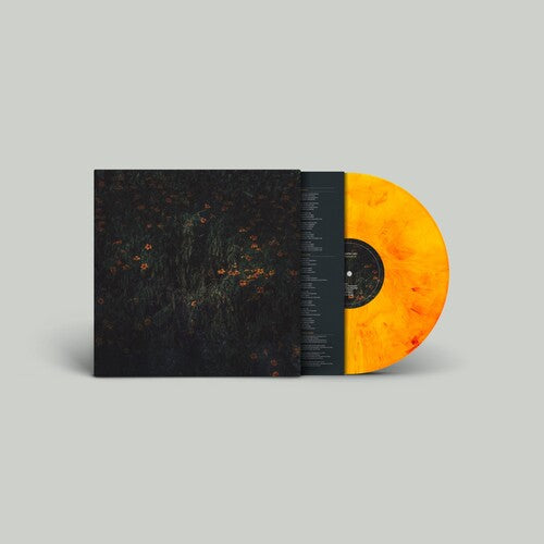 Compro Oro: Estarantos -LP