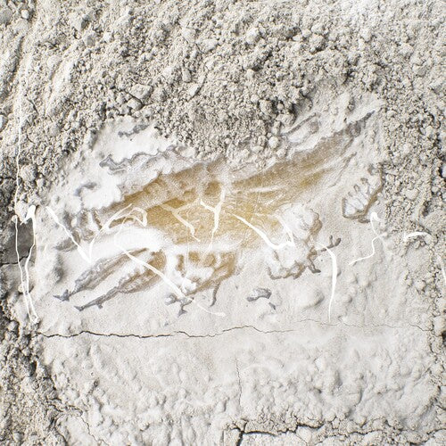 Jonathan Kawchuk: Everywhen -LP