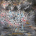 Ferrari, Brunhild & Christoph Heemann: Sturmische Ruhe - (VINYL LP)