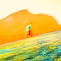 Manu Dia: Often Inside -LP