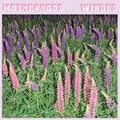 Motherhood: Winded -LP